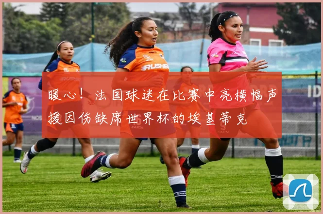 暖心!法国球迷在比赛中亮横幅声援因伤缺席世界杯的埃基蒂克