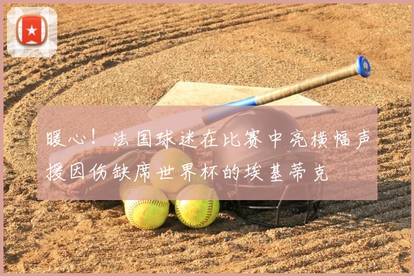 暖心！法国球迷在比赛中亮横幅声援因伤缺席世界杯的埃基蒂克